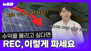 가장 좋은 조건으로 REC 사고파는 방법이 있다고? REC 현물시장 완벽 분석✍️ 나 지금 되게 신나 (feat. RE100) | 뉴에라