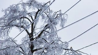 Ростовская область оказалась без электричества из-за ледяного дождя