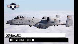 Hunting A-10 Thunderbolt II, Warthog