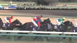 ドリームジャーニー　2009/12/27  晴れ 有馬記念(G1) 　　１着　HD