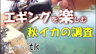 鷹島へｴｷﾞﾝｸﾞ秋イカ調査へ。ｱﾝｸﾞﾗｰﾃｨｰｹｰ＜右巻き大好き＞#25