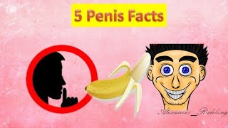 Exploring the Fascinating World of the Penis: 5 Intriguing Facts Unveiled