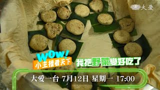 【小主播看天下WOW】預告  -  20210712 - 我把野菜變好吃了