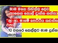 சிங்கள வால் கதா அதிகாரப்பூர்வ சேனல் முதல் லோகோ வீடியோ சிங்கள வால் கதா வல கதா ஹுகனாவா கதை