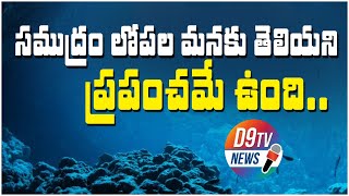 సముద్రం లోపల ఉన్న రహస్యాలు|Sea Facts|Telugu Facts 2022|Interesting Facts in Telugu|D9 TV NEWS