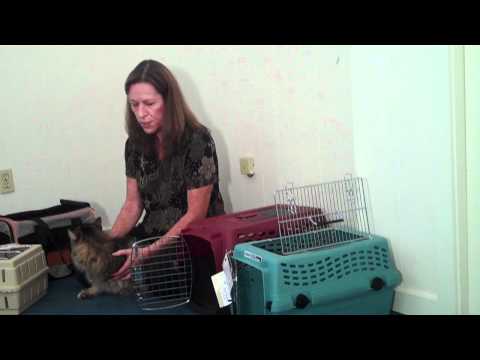 Selecting the Best Cat Carrier Selecting the Best Cat Carrier