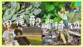 Vlog plants | 來田尾逛觀葉植物🪴 ⟢ ✿ 在公園畫畫🎨❔พาชมต้นไม้ด่างที่ไต้หวัน แวะวาดรูปที่สวนสาธารณะ⌇👩🏻‍🎨 🌟