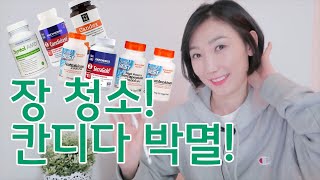 칸디다 박멸 장청소 하기. 유산균 효과 없는 이유. 면역력 증진에 도움 되는 장건강 챙기기. 아이허브 영양제 추천. 칸디다 질염 치료하기