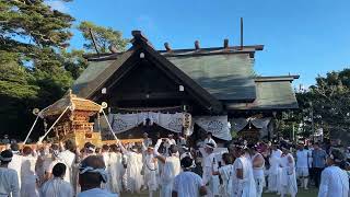 2023 やわたんまち  山荻神社　神輿　八幡入り