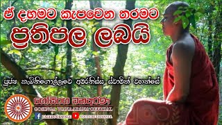 ඒ දහමට කැපවෙන තරමට | ප්‍රතිපල ලබයි | ධර්ම දේශනාව | ven. kabithigollawe amarathissa thero