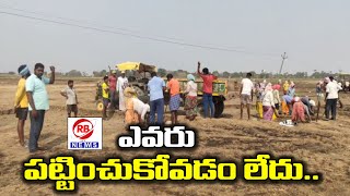 ఉపాది హామీ పనుల్లో కనీస సౌకర్యాలు లేవు // RBNEWS