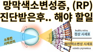 망막색소변성증 색소변성증 Rp진단후 해야할일들