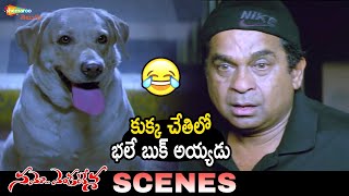 Brahmanandam Hilarious Comedy Scene | Namo Venkatesa Telugu Full Movie | Trisha | Jayaprakash Reddy