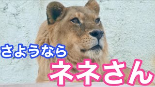 さようならネネさん