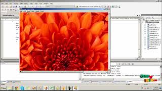 DOTNET Project - Image Encryption Using Parallel RSA Algorithm on CUDA - ClickMyProject