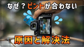 【初心者OK】写真を撮る時ピントが合わない３つの原因と解決法