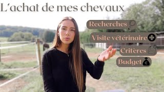 ACHAT DE MES CHEVAUX : recherches, critères, visite vétérinaire, budget