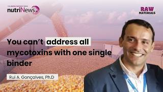MYCOTOXIN BINDERS EXPLAINED – Why One Size Never Fits All | nutriNews on Air Dr. Rui A. Goncalves