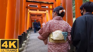 Kyoto Japan - Tour of Fushimi Inari At Dusk [4K]