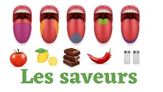 les saveurs en français.