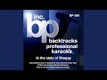 Piece Of My Heart (Instrumental Track Without Background Vocal) (Karaoke in the style of Shaggy)