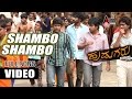 Hudugru | Kannada Video Song | Shambo Shiva | Puneeth Rajkumar, Radhika Pandith | V. Harikrishna