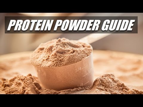 How To Use Protein Powder: Simple Step-By-Step Guide How To Use Protein Powder: Simple Step-By-Step Guide