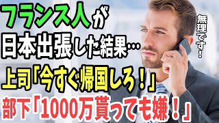 【海外の反応】「もう帰国して生活するなんてできませんw」フランス青年を日本へ出張させてしまった結果w【日本のあれこれ】