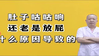 肚子咕咕响，还老是放屁，什么原因导致的？