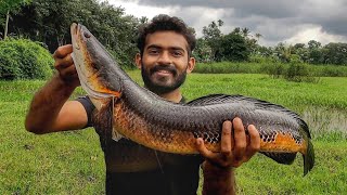 കൊമ്പനെ കിട്ടി 😱🤯| Kerala snakehead fishing| #keralafishing #snakeheadfishing  #fishing #snakehead