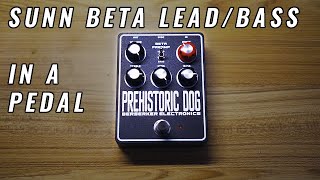 Berserker Electronics Prehistoric Dog | Sunn Beta Lead / Bass in a Pedal!