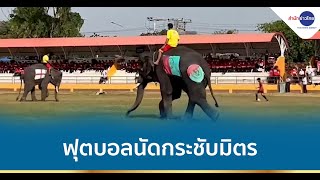 นัดกระชับมิตร ช้างเตะบอลกับคน