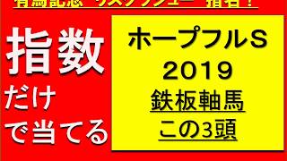 【競馬予想】ZI指数で当てる【ホープフルステークス　2019】