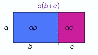 How Can You Visualize the Distributive Property?