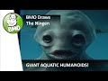 BMO Creative Cryptid Video: The NINGEN