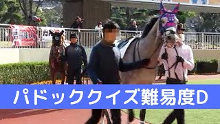 【現地映像】パドッククイズ難易度D　馬だけ見て勝った馬わかる？風が強くて元気な馬多数