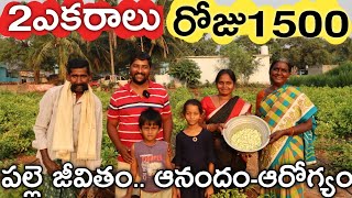 2 ఎకరాల సేద్యం - రోజూ 1500 ఆదాయం.. సంతోషంగా ఉన్నాం | RythuBadi