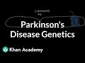 Genetics and Parkinson's disease | Nervous system diseases | NCLEX-RN | Khan Academy