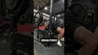 250lb/113kg