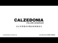 yang mi 杨幂 calzedonia endorsement ad