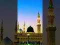 rozae rasool hara gumbad jo dekho ge zamana bhool jao ge madina naat