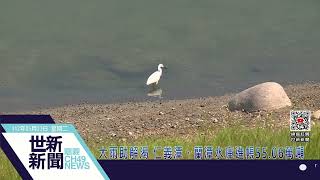 世新新聞  大雨助解渴 仁義潭、蘭潭水庫進帳55.06萬噸