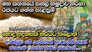 මහ කන්නයේ සහල් හමුදාව හරහා රජයට | ගොවින්ට හොද මිලක්...? | කන්නය ඇණගත්තොත් #කන්නය තමයි වෙන්නේ...