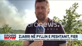 Gazetari Bita raporton nga Peshtani: Zjarri ka përfshirë pyllin, forcat zjarrëfikëse në  vendngjarje