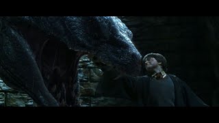 Harry vs Basilisk - Harry Potter and the Chamber of Secrets