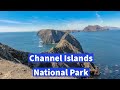 Channel Islands National Park - A Guide and a Visit to Anacapa Island