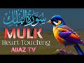AL MULK | QURAN RECITATION | سورة الملك | Omar Hisham Al Arabi