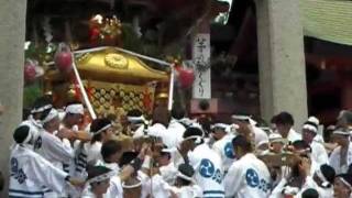 住吉大社 神輿渡御祭  Festival of Shrine