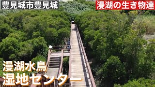 漫湖水鳥・湿地センター　2020年　11月