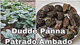 Dudde Panna Patrado/ Ambado | Dudde Vallintu Korche Namunvar Randap